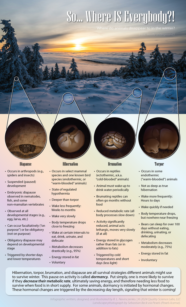 So Where IS Everybody? (Where do animals disappear to in the