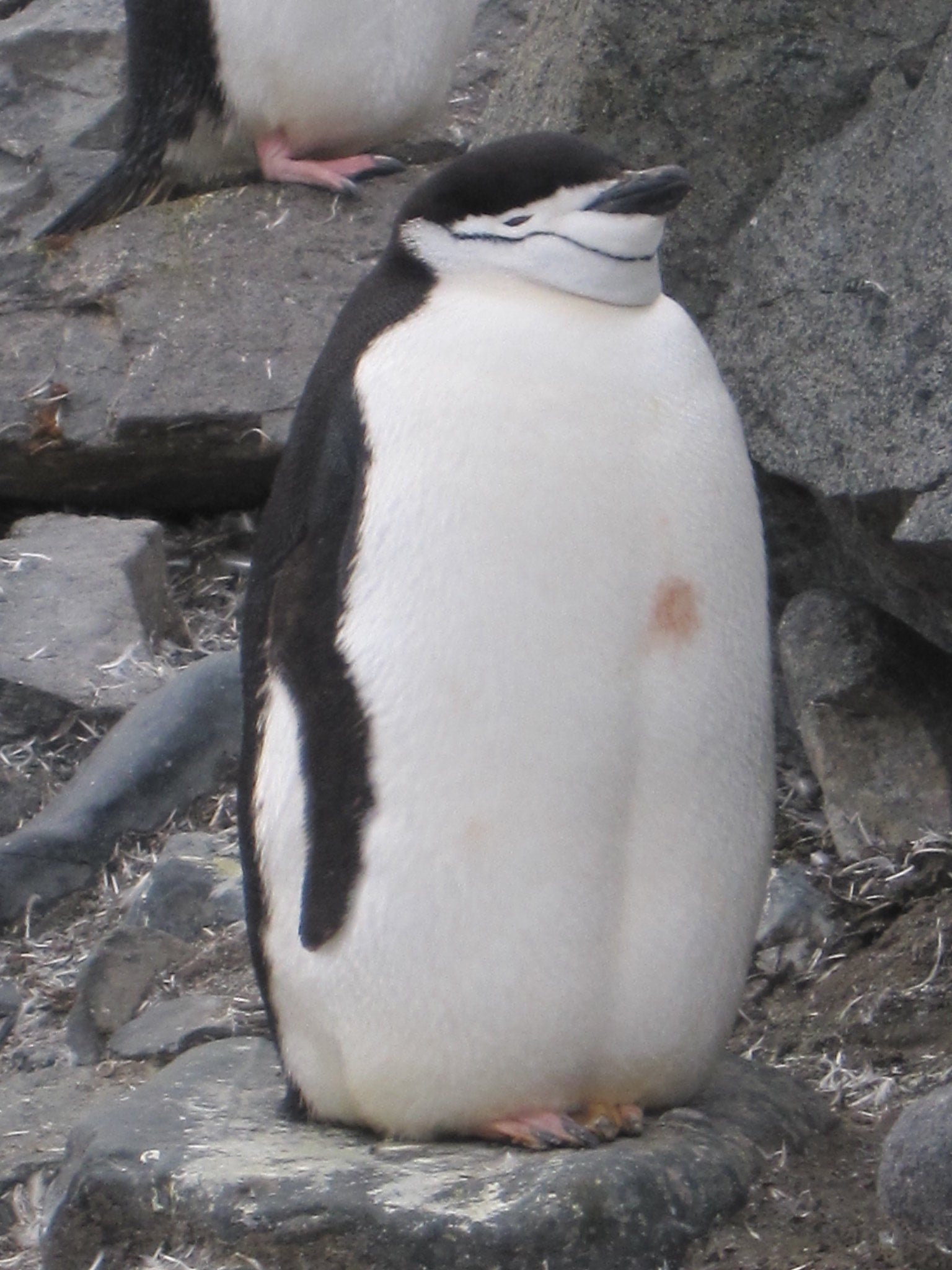 Sleep Quality Science Labs