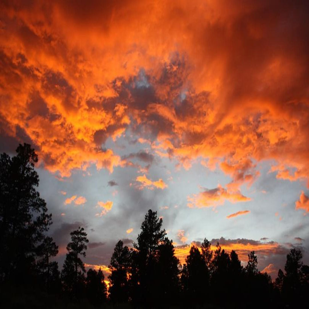 Sunsets