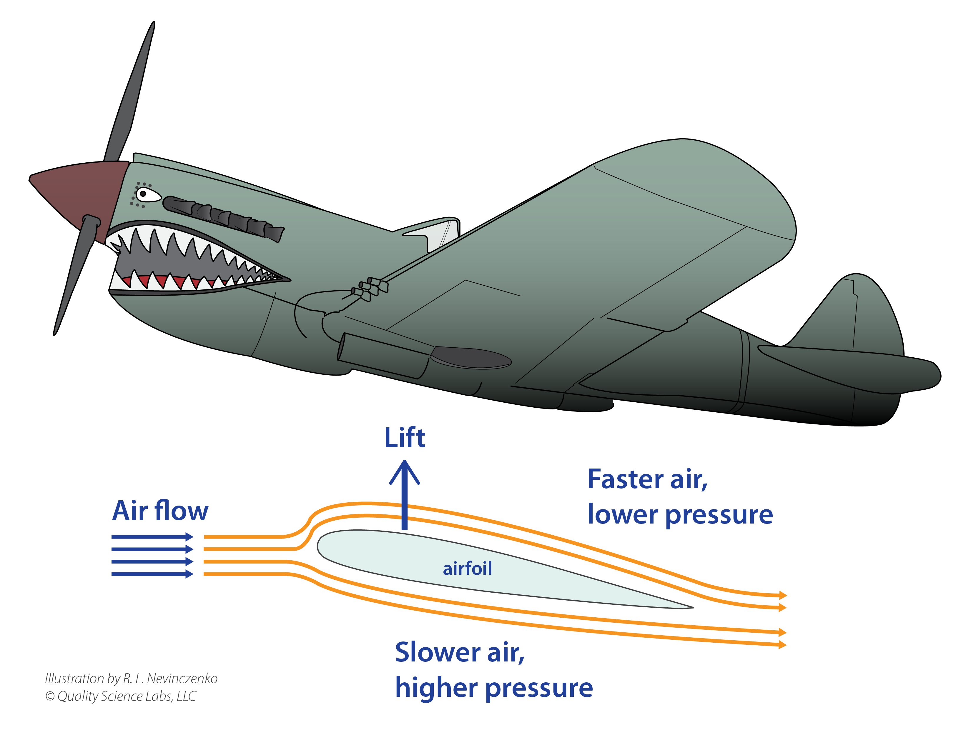 What Do Sharks and Planes Have in Common?