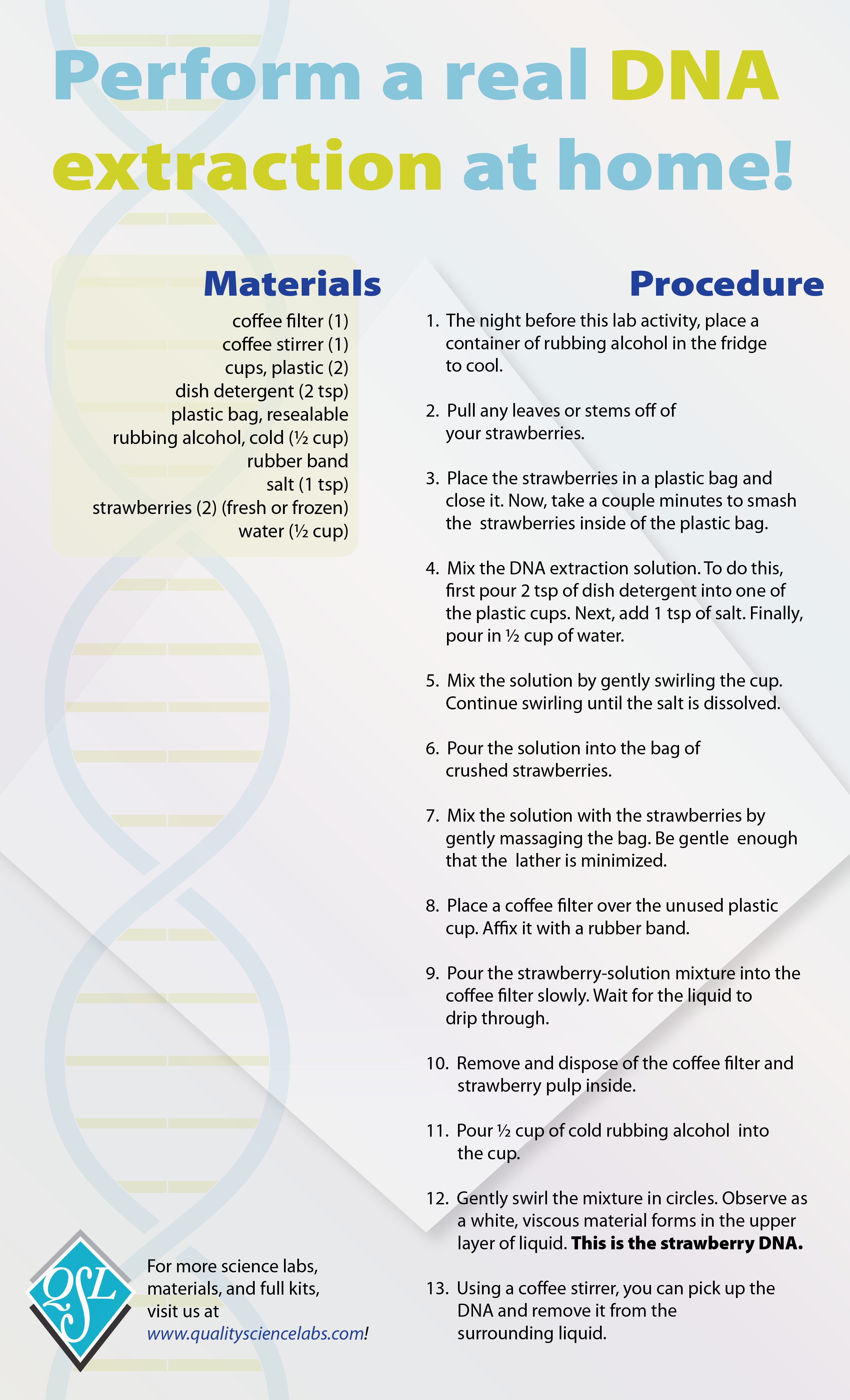 National DNA Day Lab!