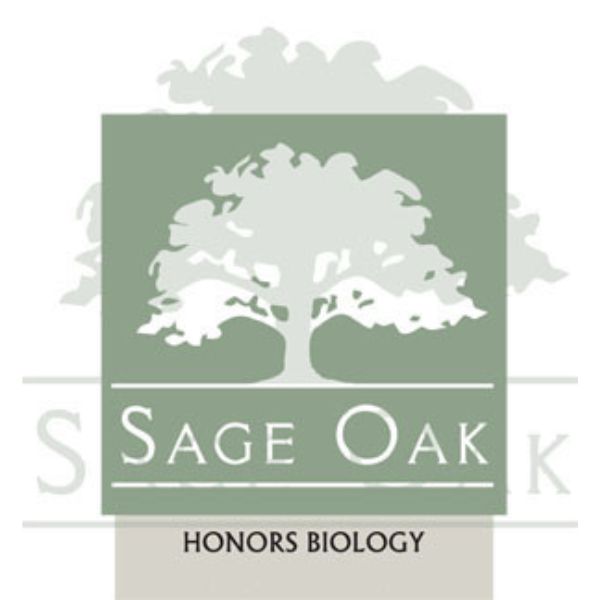 QSL Science Kit HONORS Biology