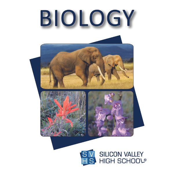 Silicon Valley High School Biology Lab kit